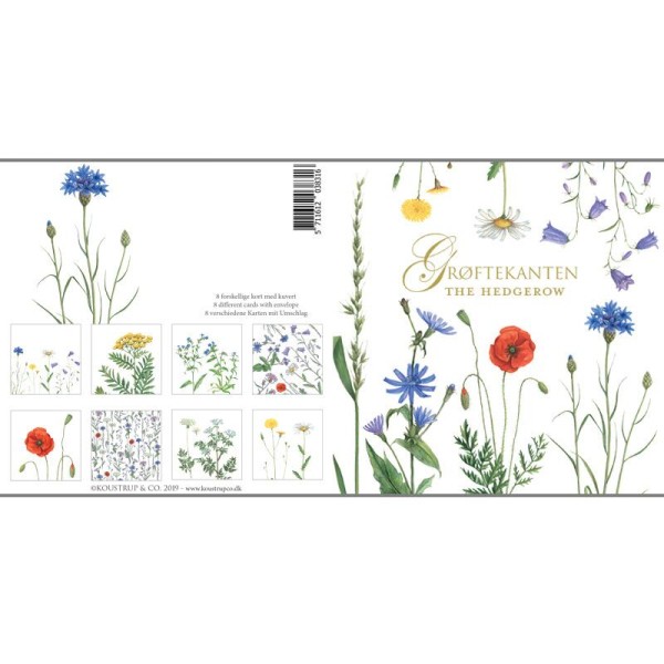 Postkartenset "Blumen am Wegesrand" - 8 Klappkarten inkl. Umschlag-