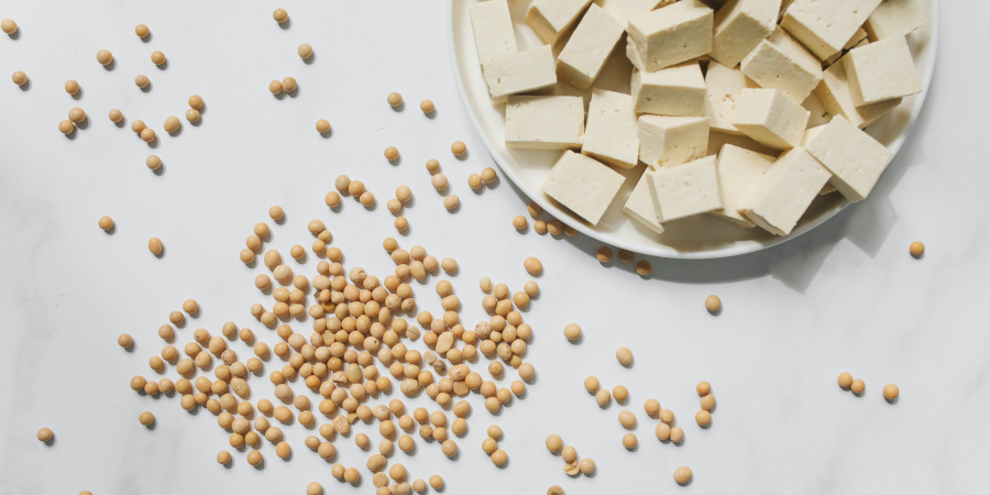 kein_planet_b_ratgeber_soja